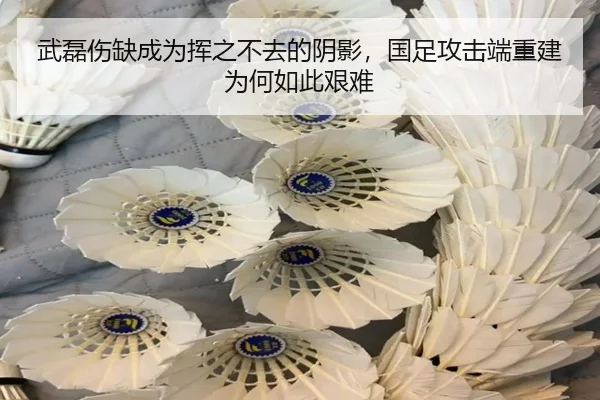 武磊伤缺成为挥之不去的阴影，国足攻击端重建为何如此艰难